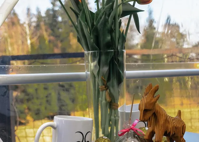 Caloroczny Jacuzzi Zieleniec Goat Glamp Luxury tent Duszniki Zdroj