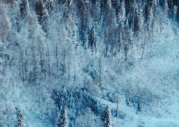 Caloroczny Jacuzzi Zieleniec Goat Glamp Luxuszelt